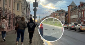 В Ярославле утка помогла утятам перейти оживлённую дорогу