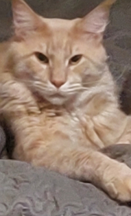 Миша и Филя.