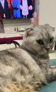 Подгорелый кексик