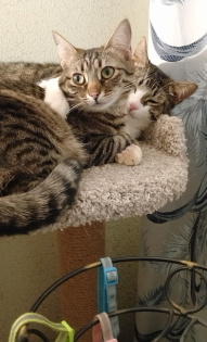 Мои любимки ❤️