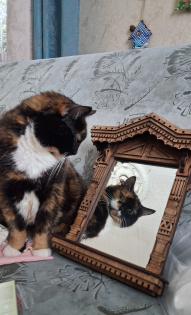 Ульяна Хусу