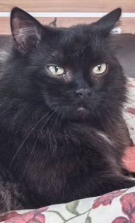 Татьяна Макушкина