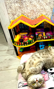 Полухина Светлана Сергеевна