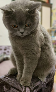 Марина&Мэйсон