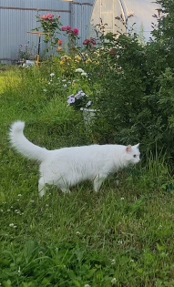 Юлия Бараева