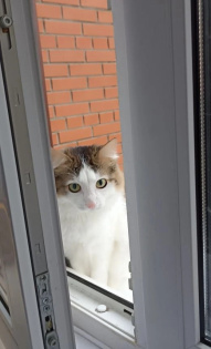 Тамара и её Сэнди