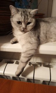 Александра