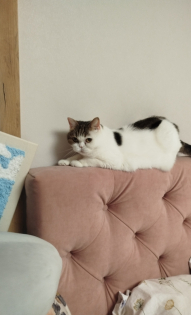 Дарья кознова