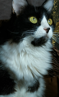 Александра