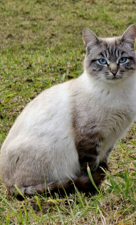 Нина Соловьева