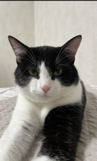 Юлия Денисова и Каспер