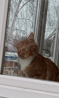 Любопытный Кузька