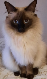 Еремина Ольга