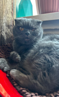 Владимир Алюнин