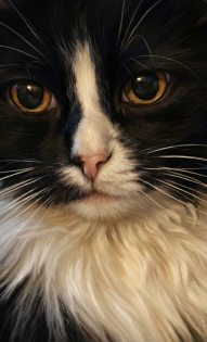 Екатерина Толмачева