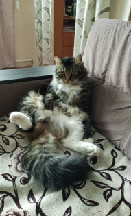 Надопта Татьяна