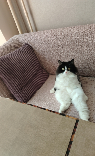 Юля, моя любимая доча Матильда!