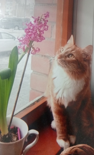 Агеева Ирина Александровна