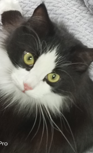 Анна, моя Марусенька любимка