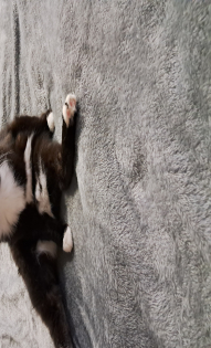 Светлана Муравьева