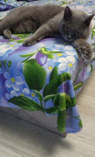 Марина Махина