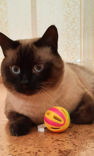 Филиппова Татьяна