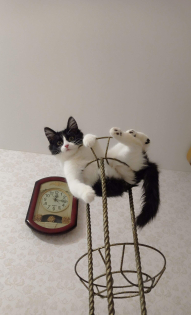 Вера Теплякова