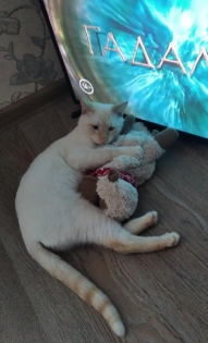 Светлана, мой любимка Тимоша