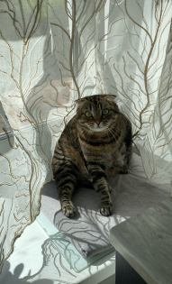 Паутова Мария