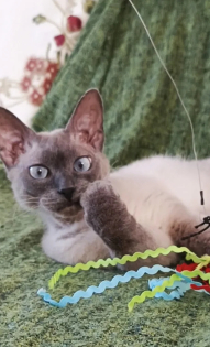 Марина Викторовна