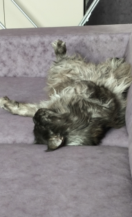 Матильда 4 года