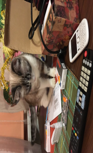 Ирина Юрьевна