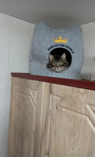 Надопта Татьяна