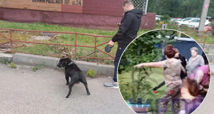 В Ярославле женщина с винтовкой вышла во двор пугать собак и их хозяев