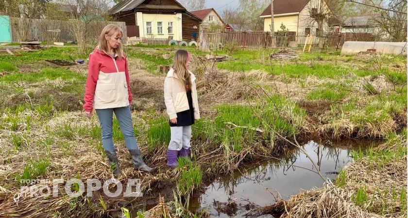 За дело получившей землю на болоте матери взялся председатель СК России