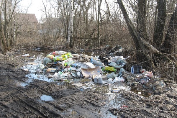 В ярославском парке в пойме Которосли нашли три свалки мусора