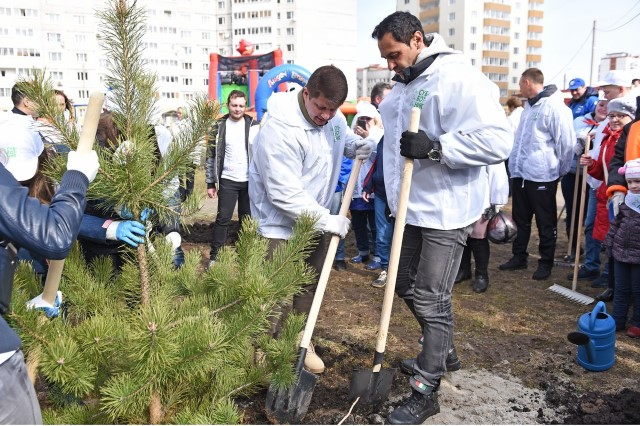 В Ярославле Стас Костюшкин и Наталья Гулькина помогли Владимиру Слепцову высадить деревья