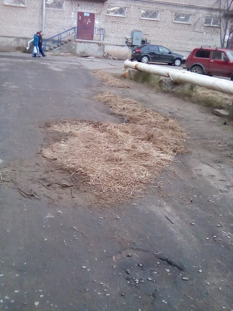 К приезду Путина в Рыбинске заделали дорожные ямы сеном