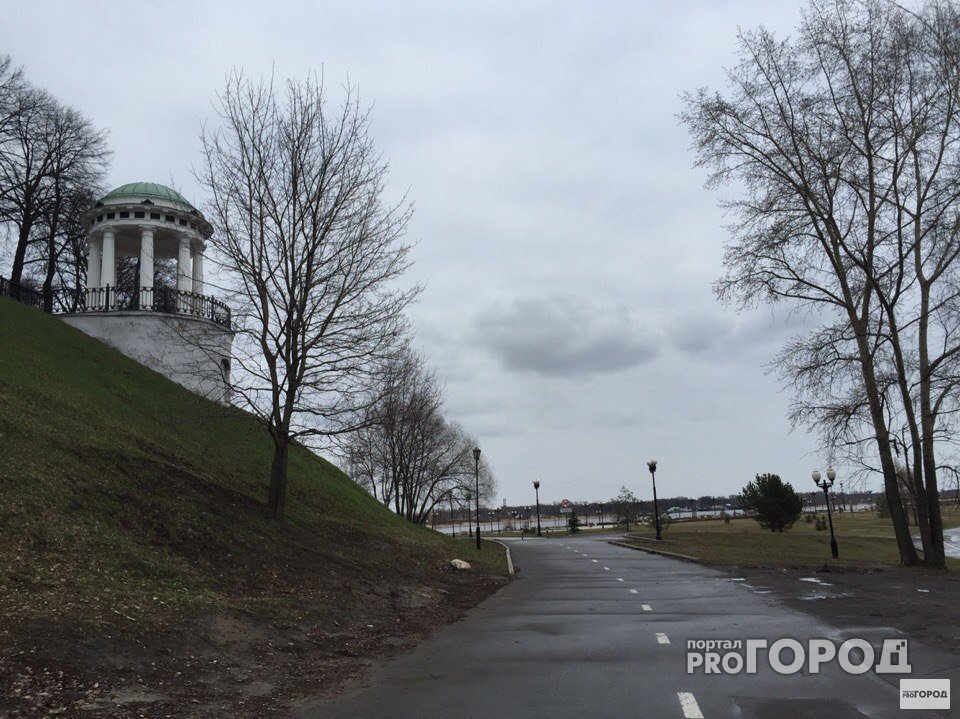 Во вторник в Ярославле может пройти небольшой дождь