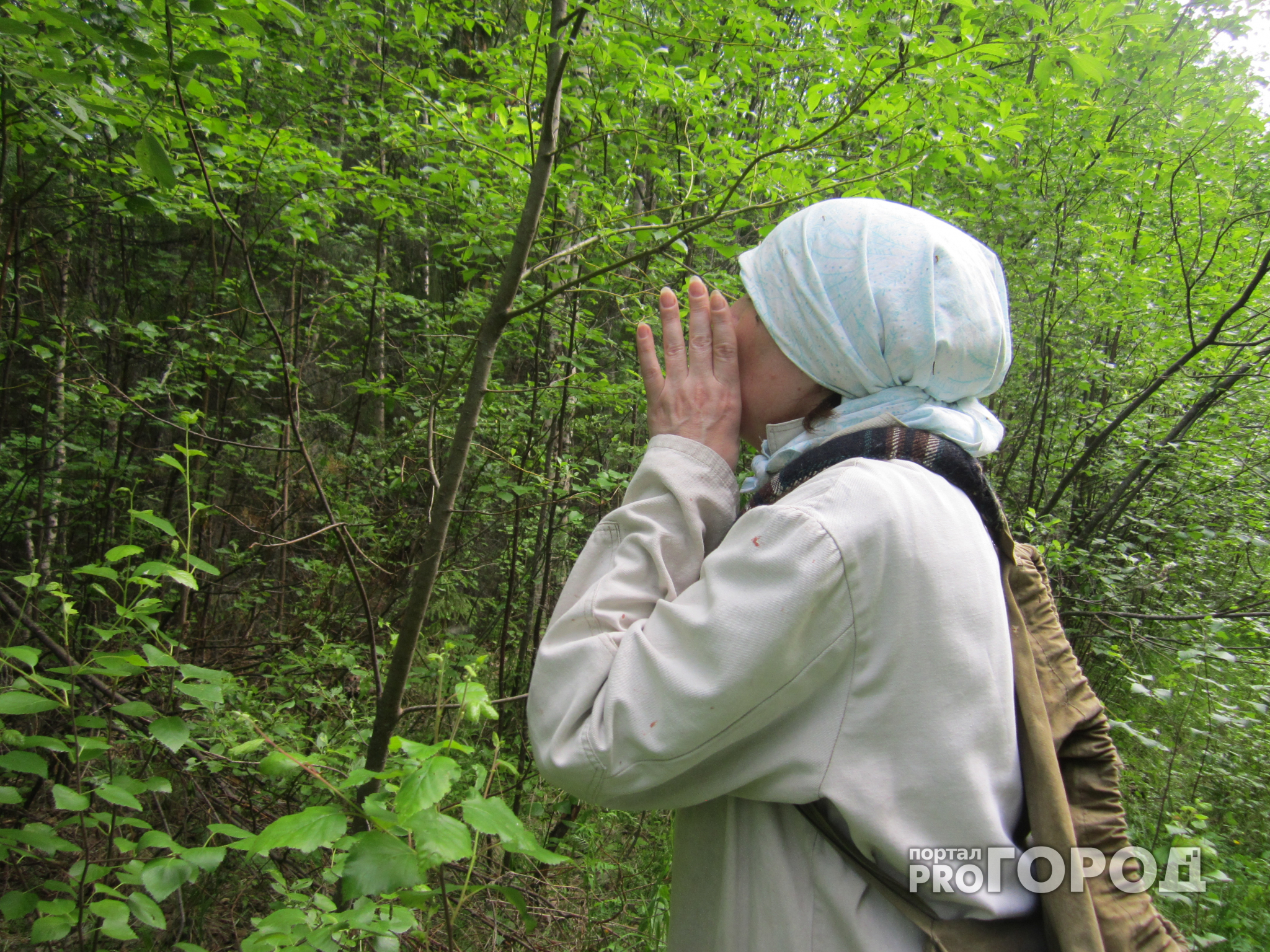 Заблудившуюся в лесу под Ярославлем пенсионерку искали 40 полицейских
