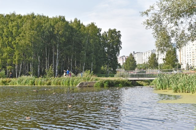 В Ярославском парке Судостроителей наведут порядок