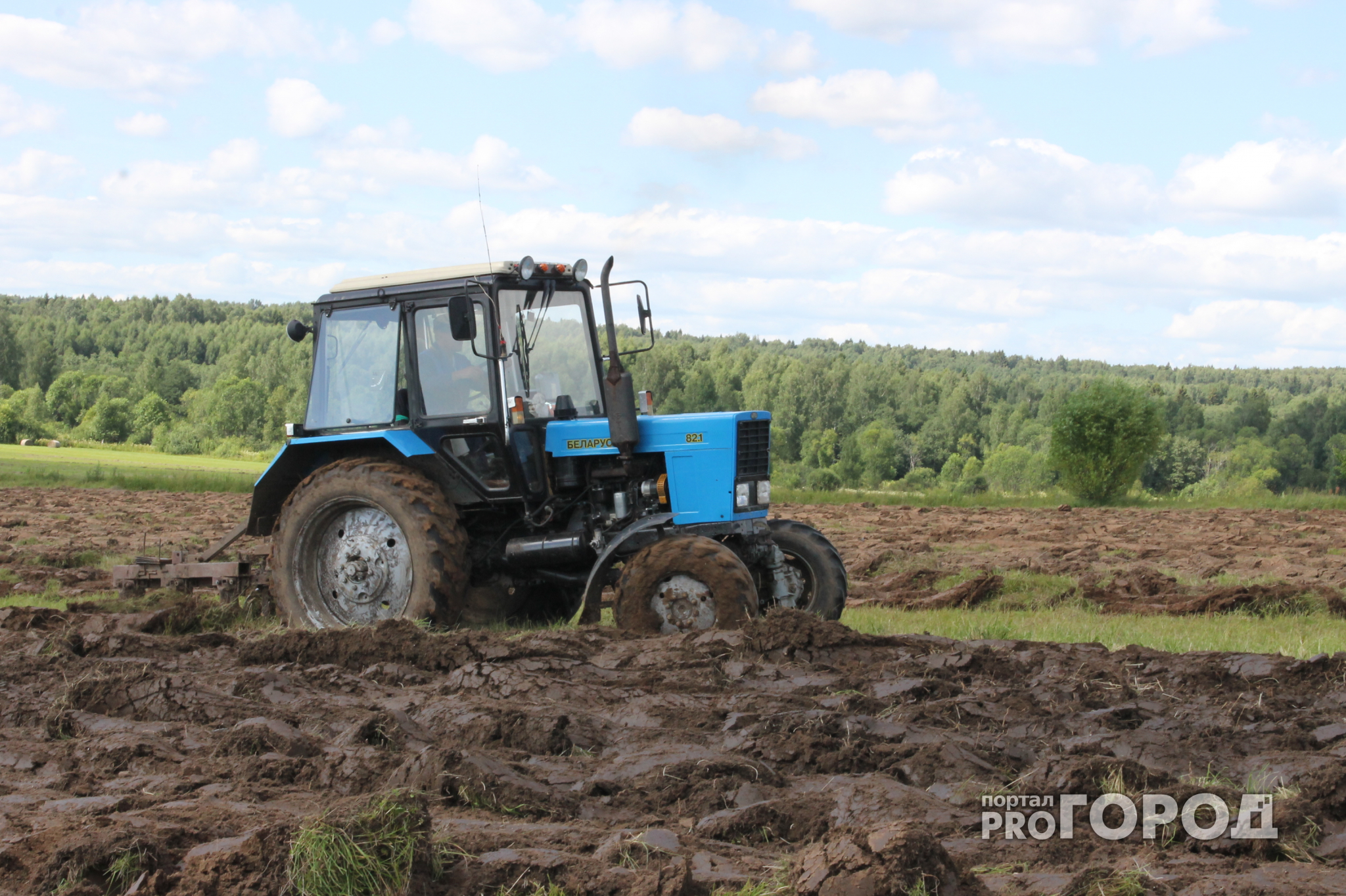 Под Ярославлем сельхозпроизводитель расплатился по долгам фермой, землей и АЗС