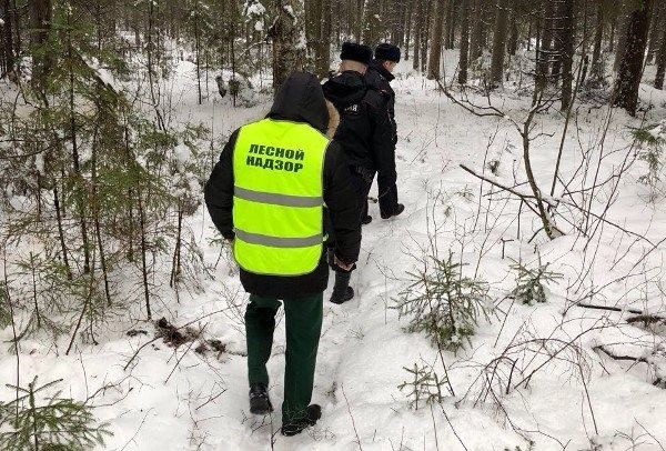 Штрафы до 500 тысяч: ярославцев будет ловить "новогодний патруль"