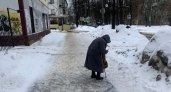 О кишащих в почве Ярославля бактериях из-за скачков температур предупредили в МЧС