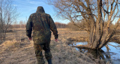 Ярославцам запретили ходить в лес в целях безопасности