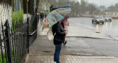 Прохладным и дождливым началом июня синоптики расстроили ярославцев