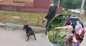 В Ярославле женщина с винтовкой вышла во двор пугать собак и их хозяев