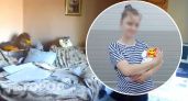 В Ярославле в квартире с младенцем рухнул потолок