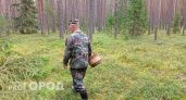  Жителям Ярославля придется платить по 100 рублей за посещение лесов и парков