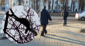 В Ярославле увидели сбежавшего от хозяев хорька во Фрунзенском районе